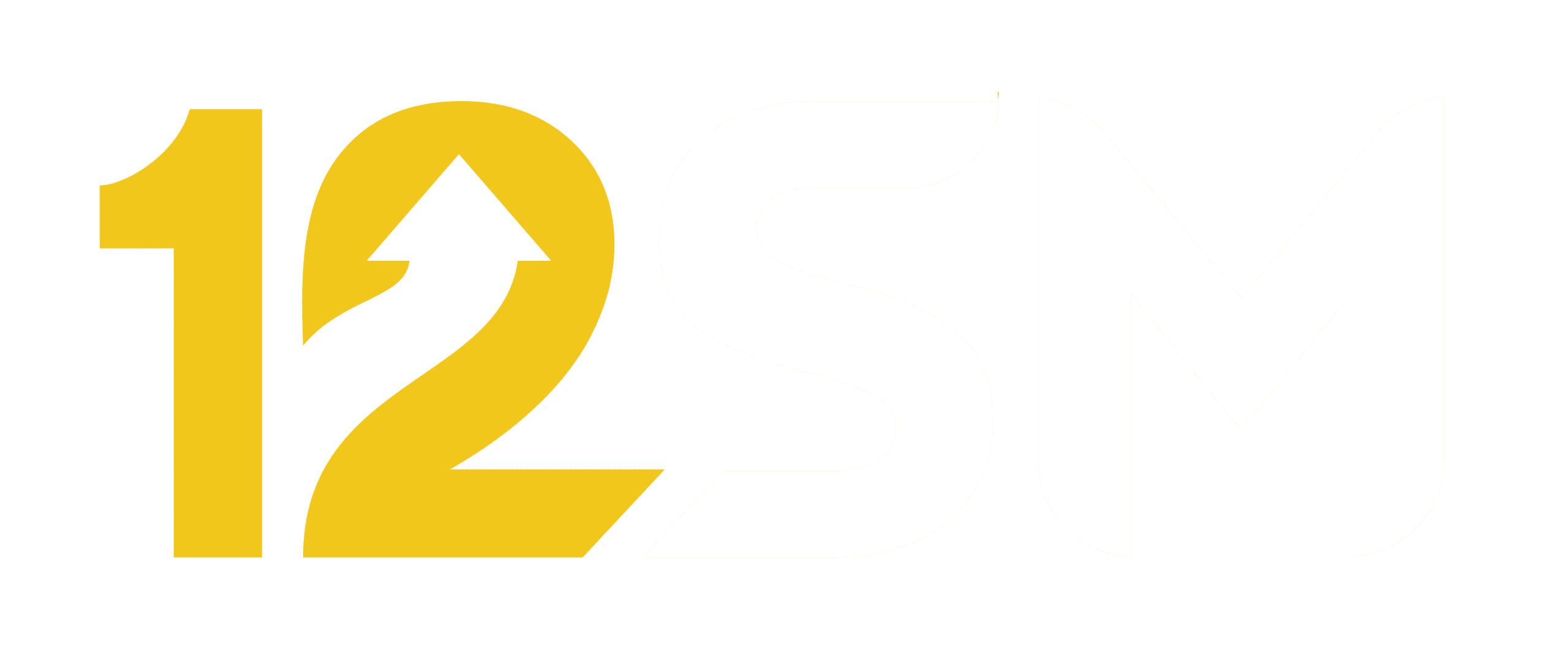 12SM-logo-02