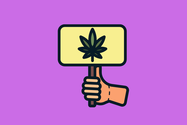 CBD Website BlogPOst Featured Image